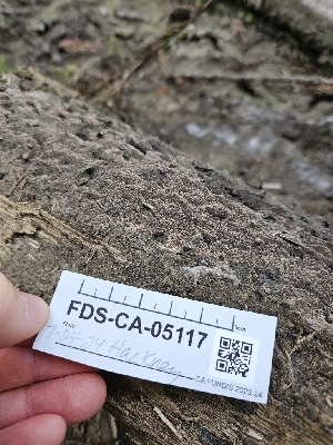  ( - FDS-CA-05117)  @11 [ ] by (2024) Mandy Hackney Fungal Diversity Survey