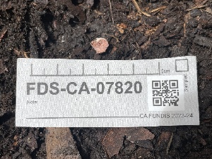  ( - FDS-CA-07820)  @11 [ ] by-nc (2024) Damon Tighe Fungal Diversity Survey