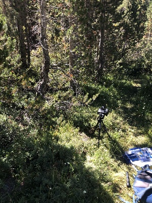  ( - FDS-CA-06740)  @11 [ ] by (2024) Justin Paulin Fungal Diversity Survey