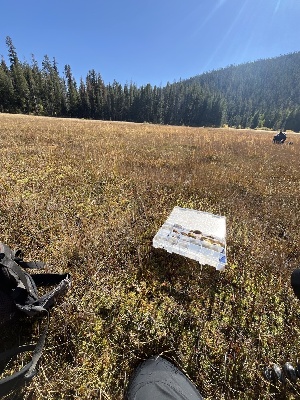  ( - FDS-CA-05867)  @11 [ ] by-nc (2024) Dean Lyons Fungal Diversity Survey