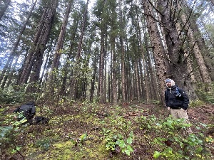  ( - FDS-CA-08595)  @11 [ ] by-nc (2024) Dean Lyons Fungal Diversity Survey