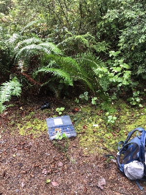  ( - FDS-CA-06635)  @11 [ ] by (2024) Justin Paulin Fungal Diversity Survey