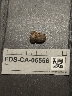  ( - FDS-CA-06556)  @11 [ ] by-nc (2024) Taye Bright Fungal Diversity Survey