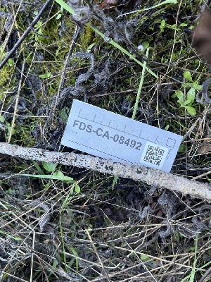  ( - FDS-CA-08492)  @11 [ ] by-nc (2024) Dean Lyons Fungal Diversity Survey