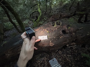  ( - FDS-CA-08161)  @11 [ ] by-nc (2025) Damon Tighe Fungal Diversity Survey