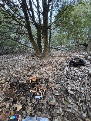  ( - FDS-CA-08193)  @11 [ ] by-nc (2025) Damon Tighe Fungal Diversity Survey