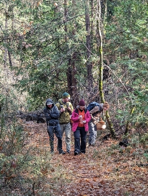  ( - FDS-CA-06308)  @11 [ ] by-nc (2024) Warren Cardimona Fungal Diversity Survey