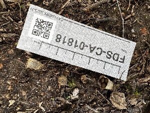  ( - FDS-CA-01818)  @11 [ ] by-nc (2024) Aaron Tupac Fungal Diversity Survey