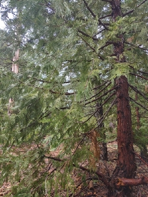  ( - HAY-F-000911)  @11 [ ] cc-by-nc (2023) Warren Cardimona FunDiS