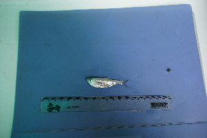  ( - UNMDP-T 2854)  @11 [ ] Unspecified (default): All Rights Reserved  Unspecified Unspecified