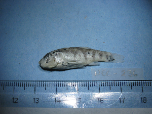  ( - NEC-0236)  @12 [ ] Unspecified (default): All Rights Reserved  Unspecified Unspecified
