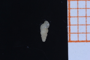  ( - GBMolST59)  @11 [ ] Unspecified (default): All Rights Reserved  Unspecified Unspecified