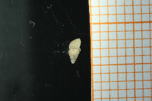  ( - GBMolST71)  @11 [ ] Unspecified (default): All Rights Reserved  Unspecified Unspecified