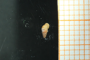  ( - GBMolST73)  @11 [ ] Unspecified (default): All Rights Reserved  Unspecified Unspecified