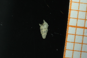  ( - GBMolST98)  @11 [ ] Unspecified (default): All Rights Reserved  Unspecified Unspecified