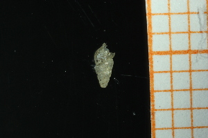  ( - GBMolST98)  @11 [ ] Unspecified (default): All Rights Reserved  Unspecified Unspecified
