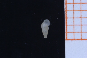  ( - GBMolST136)  @11 [ ] Unspecified (default): All Rights Reserved  Unspecified Unspecified