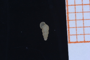  ( - GBMolST139)  @11 [ ] Unspecified (default): All Rights Reserved  Unspecified Unspecified