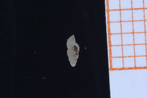  ( - GBMolST140)  @11 [ ] Unspecified (default): All Rights Reserved  Unspecified Unspecified