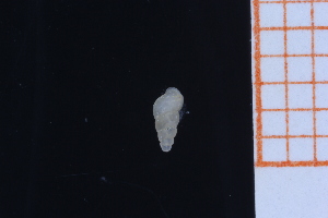  ( - GBMolST141)  @11 [ ] Unspecified (default): All Rights Reserved  Unspecified Unspecified