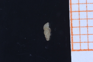  ( - GBMolST156)  @11 [ ] Unspecified (default): All Rights Reserved  Unspecified Unspecified