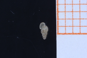  ( - GBMolST158)  @11 [ ] Unspecified (default): All Rights Reserved  Unspecified Unspecified