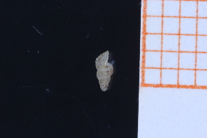  ( - GBMolST158)  @11 [ ] Unspecified (default): All Rights Reserved  Unspecified Unspecified