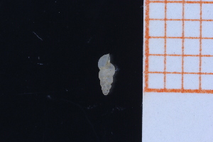  ( - GBMolST159)  @11 [ ] Unspecified (default): All Rights Reserved  Unspecified Unspecified