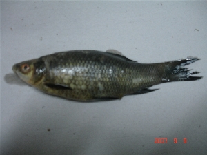  ( - STND04)  @12 [ ] Unspecified (default): All Rights Reserved  Unspecified Unspecified