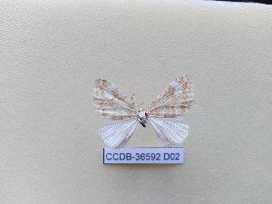  ( - CCDB-36592 D02)  @11 [ ] all rights reserved (2022) Saint Petersburg State University Saint Petersburg State University