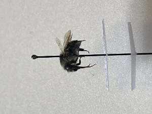  ( - GG_BG_025_deu)  @11 [ ] nrr (2025) Guillaume Ghisbain University of Mons