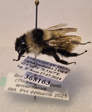  ( - KYR_127)  @11 [ ] nrr (2025) Paul H. Williams University of Mons