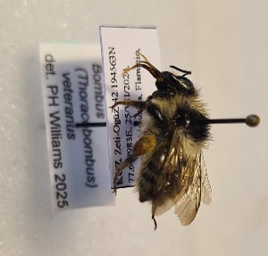  ( - KYR_266)  @11 [ ] nrr (2025) Paul H. Williams University of Mons