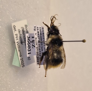  ( - KYR_5)  @11 [ ] nrr (2025) Paul H. Williams University of Mons