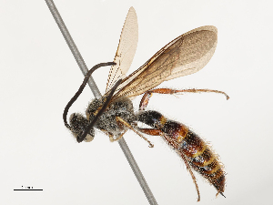  ( - CBG-B04119-A02)  @11 [ ] CreativeCommons - Attribution Share - Alike (2025) CBG Photography Group Centre for Biodiversity Genomics