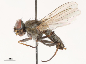  ( - CBG-B14779-C08)  @11 [ ] CreativeCommons - Attribution Share - Alike (2025) CBG Photography Group Centre for Biodiversity Genomics