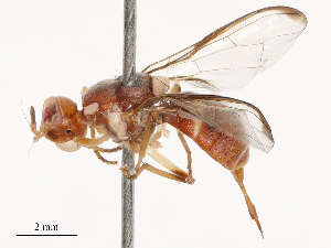  ( - CBG-B14779-C10)  @11 [ ] CreativeCommons - Attribution Share - Alike (2025) CBG Photography Group Centre for Biodiversity Genomics