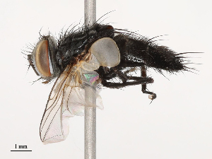  ( - CBG-B21226-A11)  @11 [ ] CreativeCommons - Attribution Share - Alike (2025) CBG Photography Group Centre for Biodiversity Genomics