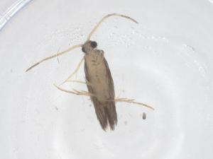  ( - CBG-B00745-G04)  @11 [ ] CreativeCommons - Attribution Share - Alike (2025) Centre for Biodiversity Genomics Centre for Biodiversity Genomics