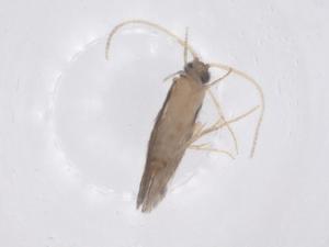  ( - CBG-B00750-B10)  @11 [ ] CreativeCommons - Attribution Share - Alike (2025) Centre for Biodiversity Genomics Centre for Biodiversity Genomics