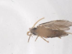  ( - CBG-B00857-A06)  @11 [ ] CreativeCommons - Attribution Share - Alike (2025) Centre for Biodiversity Genomics Centre for Biodiversity Genomics