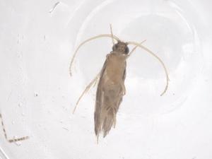  ( - CBG-B00859-E12)  @11 [ ] CreativeCommons - Attribution Share - Alike (2025) Centre for Biodiversity Genomics Centre for Biodiversity Genomics