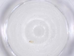  ( - CBG-B01310-E07)  @11 [ ] CreativeCommons - Attribution Share - Alike (2025) Centre for Biodiversity Genomics Centre for Biodiversity Genomics