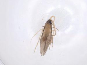  ( - CBG-B01359-E08)  @11 [ ] CreativeCommons - Attribution Share - Alike (2025) Centre for Biodiversity Genomics Centre for Biodiversity Genomics