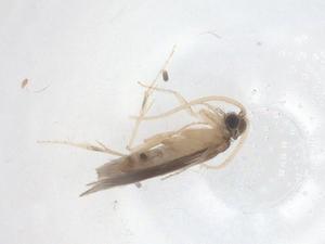  ( - CBG-B01360-G05)  @11 [ ] CreativeCommons - Attribution Share - Alike (2025) Centre for Biodiversity Genomics Centre for Biodiversity Genomics