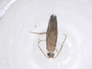  ( - CBG-B01362-D03)  @11 [ ] CreativeCommons - Attribution Share - Alike (2025) Centre for Biodiversity Genomics Centre for Biodiversity Genomics