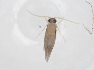  ( - CBG-B01365-B11)  @11 [ ] CreativeCommons - Attribution Share - Alike (2025) Centre for Biodiversity Genomics Centre for Biodiversity Genomics