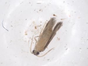  ( - CBG-B02054-A03)  @11 [ ] CreativeCommons - Attribution Share - Alike (2025) Centre for Biodiversity Genomics Centre for Biodiversity Genomics