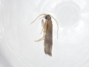  ( - CBG-B22111-F12)  @11 [ ] CreativeCommons - Attribution Share - Alike (2025) Centre for Biodiversity Genomics Centre for Biodiversity Genomics