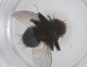  ( - CBG-B02215-D09)  @11 [ ] CreativeCommons - Attribution Share - Alike (2025) Centre for Biodiversity Genomics Centre for Biodiversity Genomics